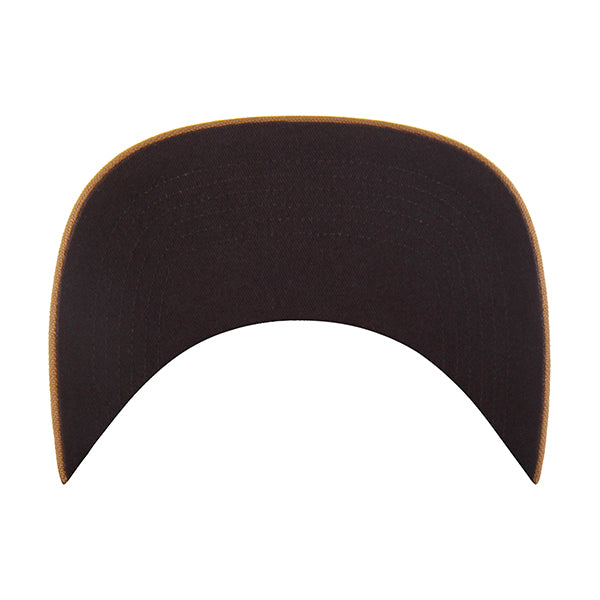 TORONTO RAPTORS CARHARTT '47 HITCH