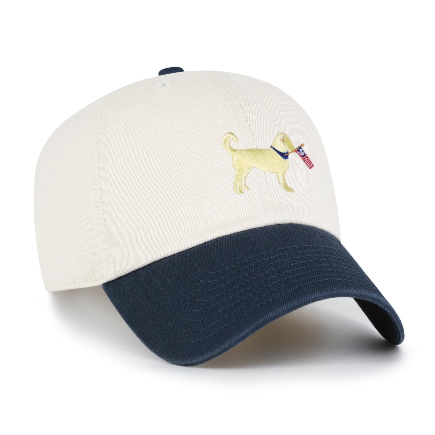 Goldendoodle Two Tone '47 Clean Up
